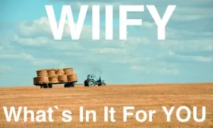 DIE Erfolgsformel im Verkauf: WIIFY